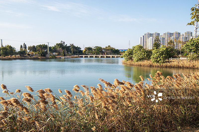 除夕的国家级文保单位泉州晋江安海五里桥黄昏景观图片素材