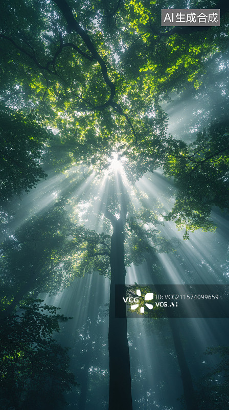 【AI数字艺术】阳光透过树木间隙，照进森林中，形成丁达尔光图片素材