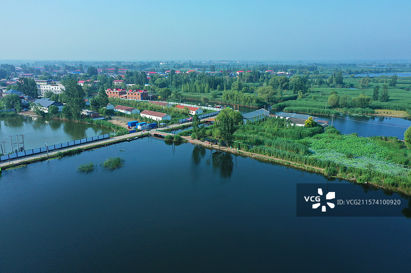 华北明珠鲜气升，荷花香艳鸟飞腾生态乐园芦苇荡，碧水云天夏凉风长廊凉亭船纵横，天然画卷游览胜图片素材