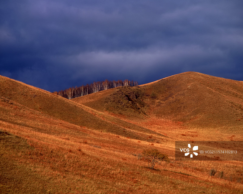 坝上  草原  天空  云   落日  秋天  乌云图片素材