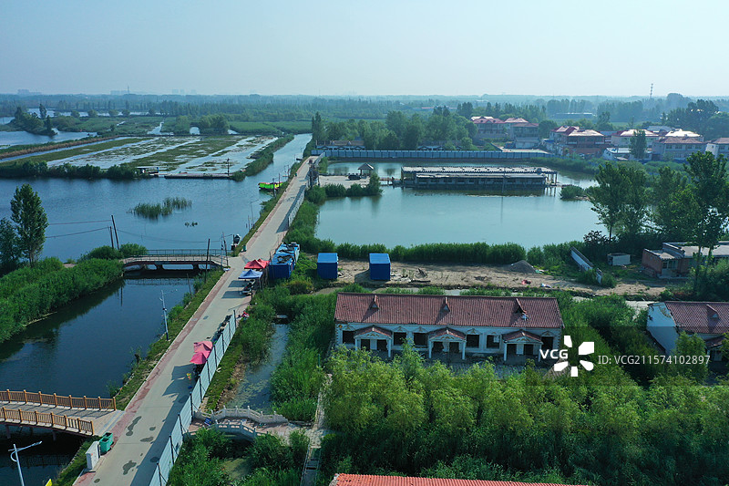 华北明珠鲜气升，荷花香艳鸟飞腾生态乐园芦苇荡，碧水云天夏凉风长廊凉亭船纵横，天然画卷游览胜图片素材
