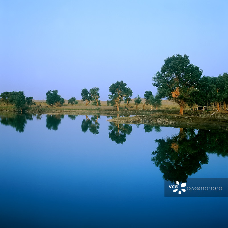 新疆 塔里木河畔 罗布人村寨 胡杨 倒影 河水 天空图片素材