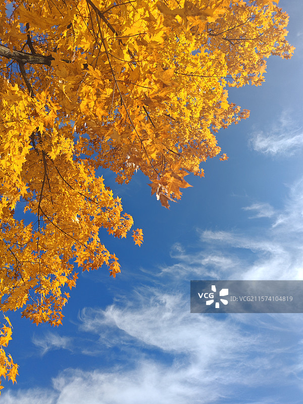 半场秋天图片素材