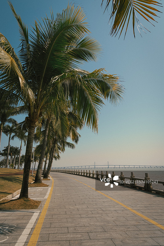 阳光大道图片素材