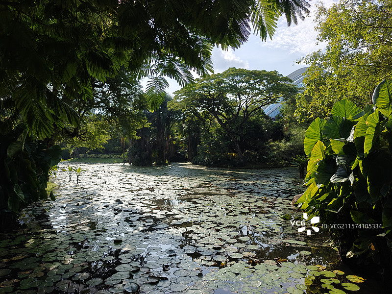 新加坡滨海湾花园图片素材