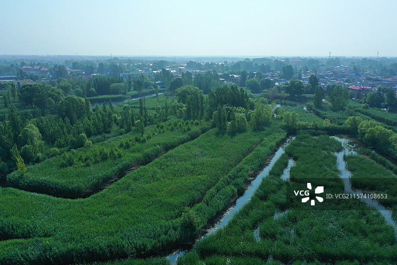 华北明珠鲜气升，荷花香艳鸟飞腾生态乐园芦苇荡，碧水云天夏凉风长廊凉亭船纵横，天然画卷游览胜图片素材