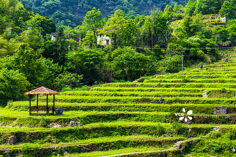 安徽池州石台牯牛降4A级旅游景区图片素材
