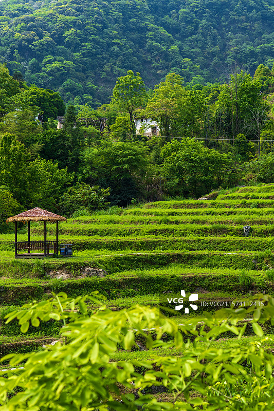 安徽池州石台牯牛降4A级旅游景区图片素材
