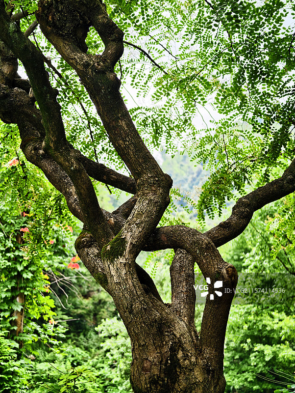 江西萍乡·湘东区·边山村·边山翡翠谷景区图片素材