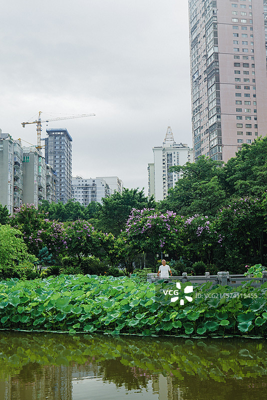 福州茶亭公园图片素材