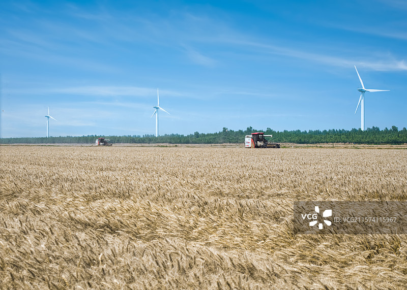 麦田丰收图片素材