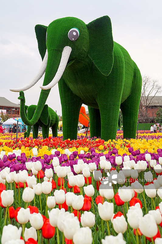 昆明-捞鱼河湿地公园图片素材