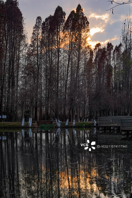昆明-捞鱼河湿地公园图片素材