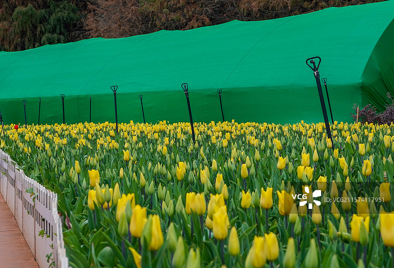 昆明-捞鱼河湿地公园图片素材