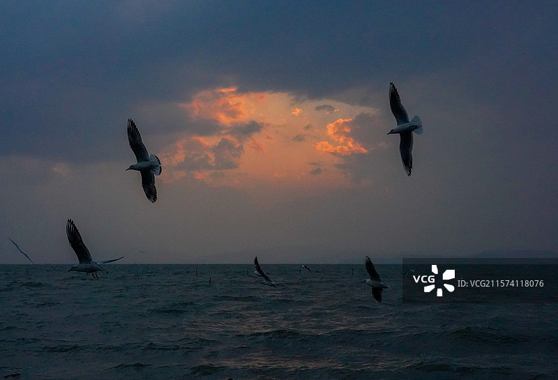 昆明-捞鱼河湿地公园图片素材