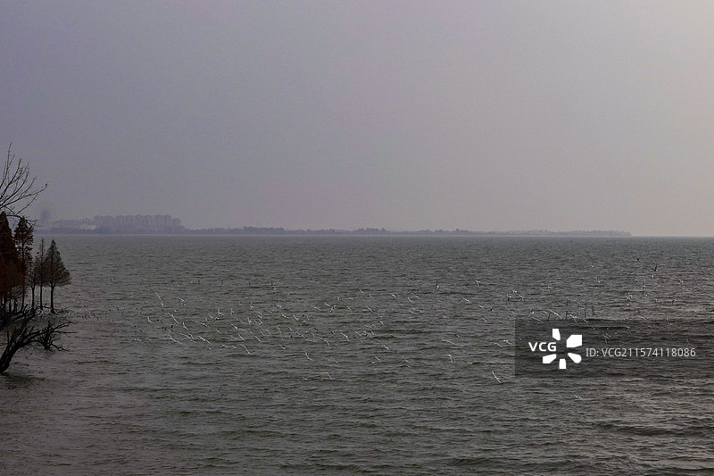 昆明-捞鱼河湿地公园图片素材