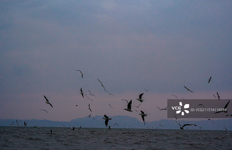 昆明-捞鱼河湿地公园图片素材