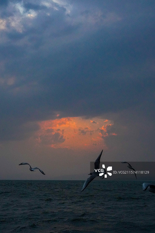 昆明-捞鱼河湿地公园图片素材