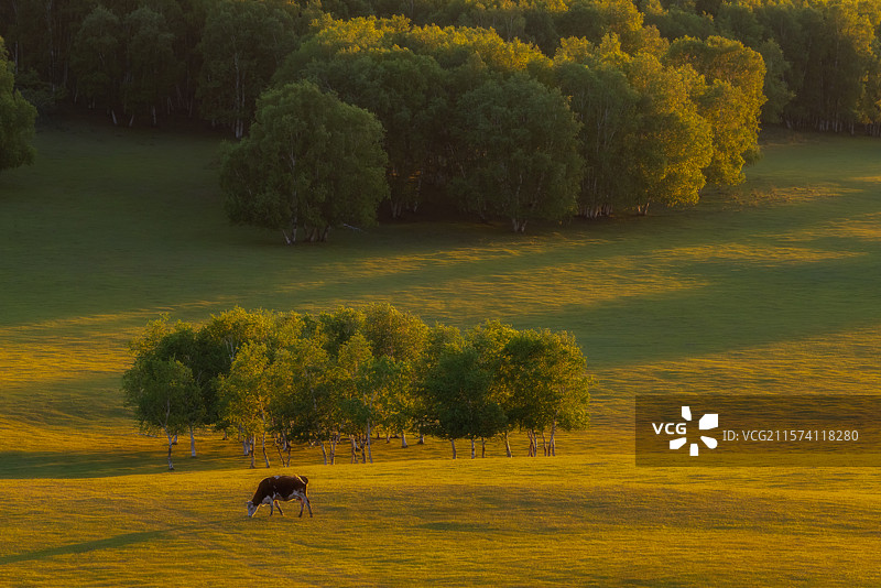 夏季坝上光影（乌兰布统 坝上）图片素材