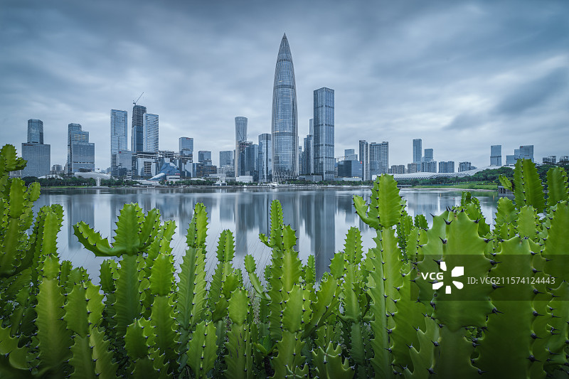 雨后春笋图片素材