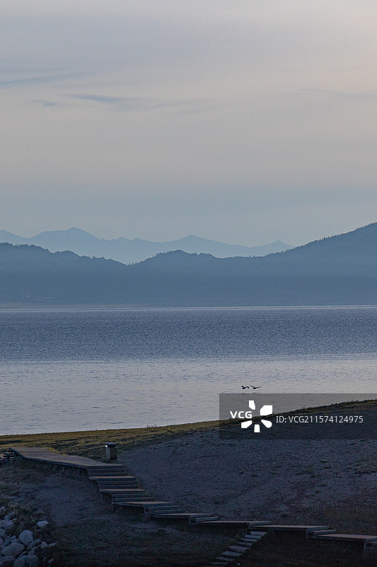 赛里木湖与飞翔在其上的天鹅图片素材