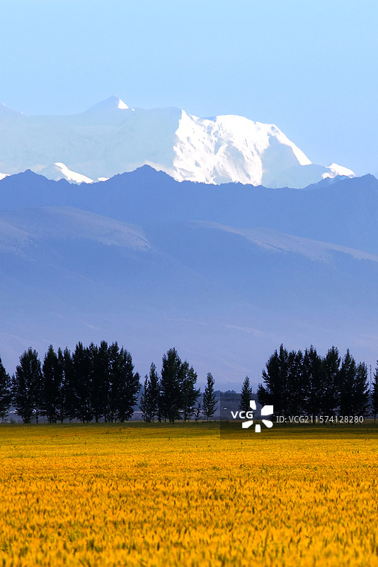 新疆伊犁昭苏县“夏塔”景区风光图片素材