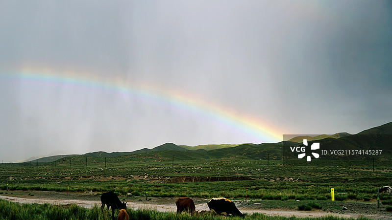 草原上的彩虹图片素材