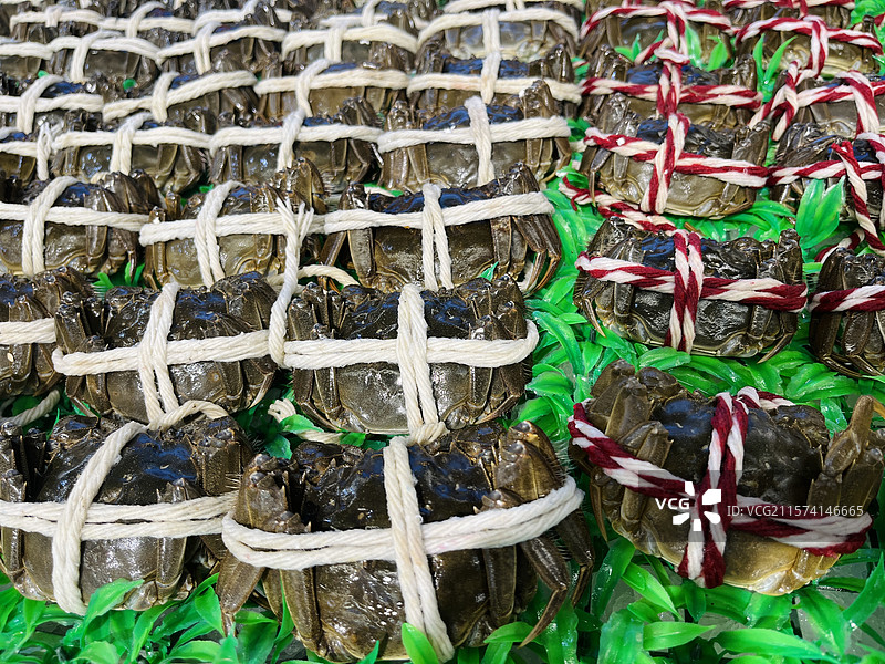 大闸蟹六月黄图片素材