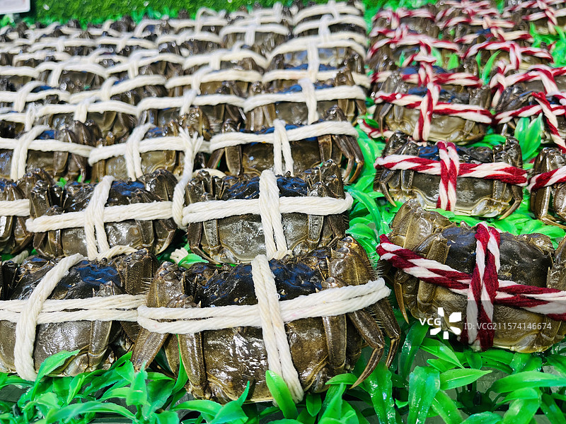 大闸蟹六月黄图片素材