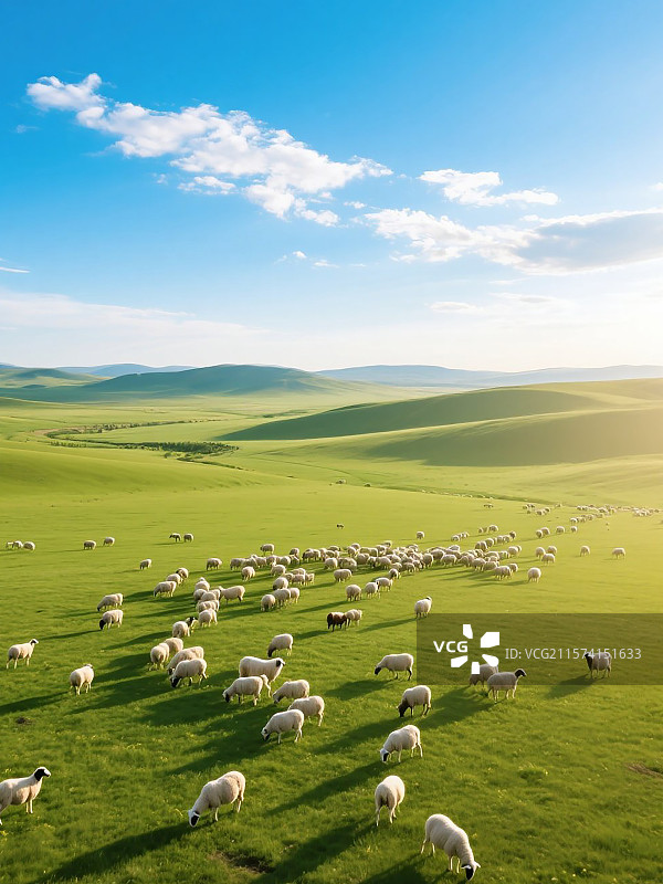 呼伦贝尔大草原上的羊群图片素材
