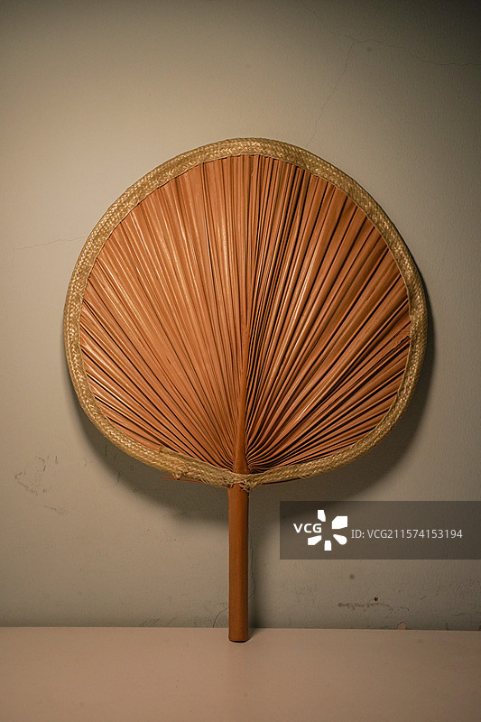 夏天的蒲扇图片素材