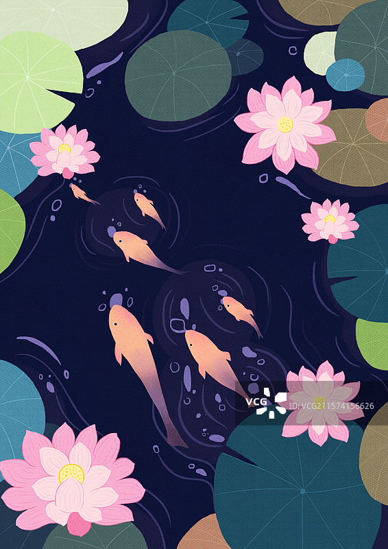 夏至荷花荷叶图片素材