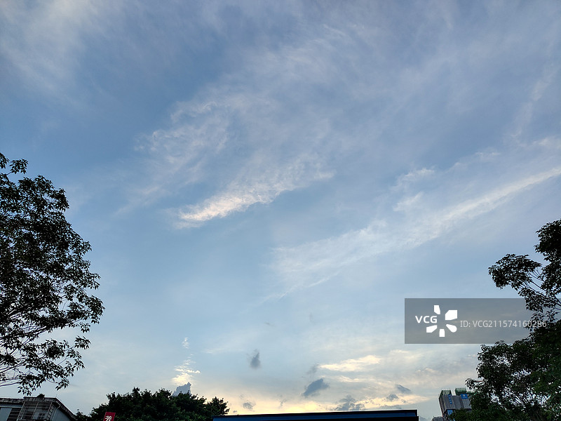 旁晚时刻的天空云彩和树木树梢图片素材