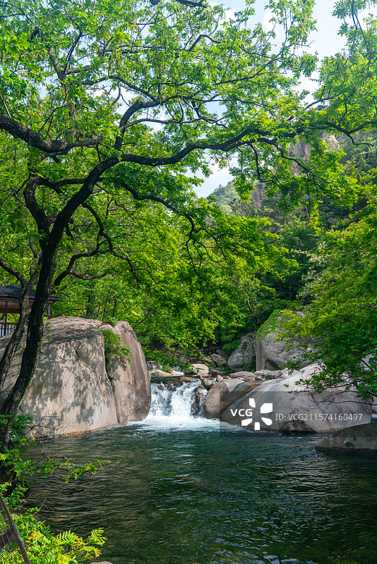 青岛市崂山北九水风景区图片素材