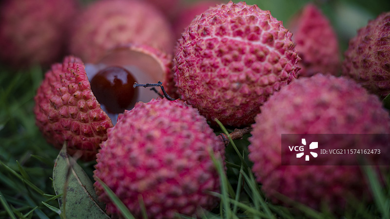 草地上放着的桂味荔枝开口开果的特写镜头图片素材