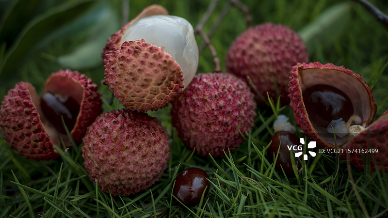 草地上放着的桂味荔枝开口开果的特写镜头图片素材