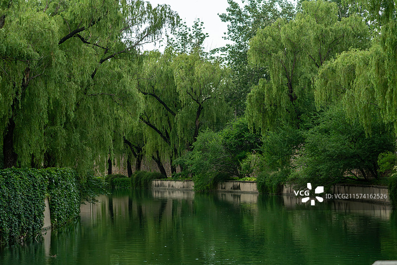 湖边垂柳成荫，水面平静，倒映着树木和天空。图片素材