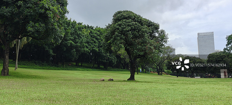 深圳中山公园草坪图片素材