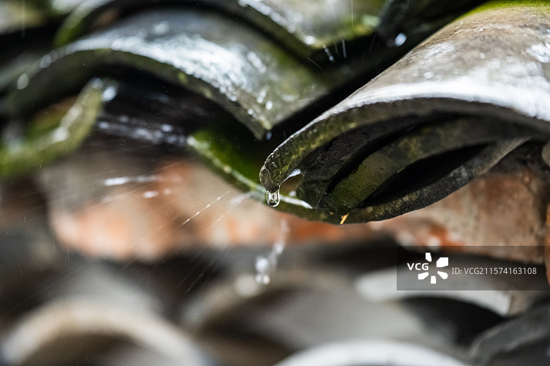 大珠小珠落玉盘图片素材