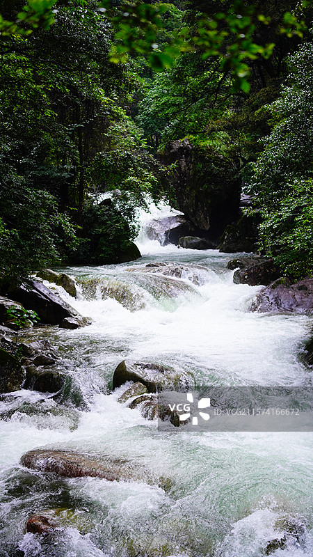 雨季的卧龙谷瀑布图片素材