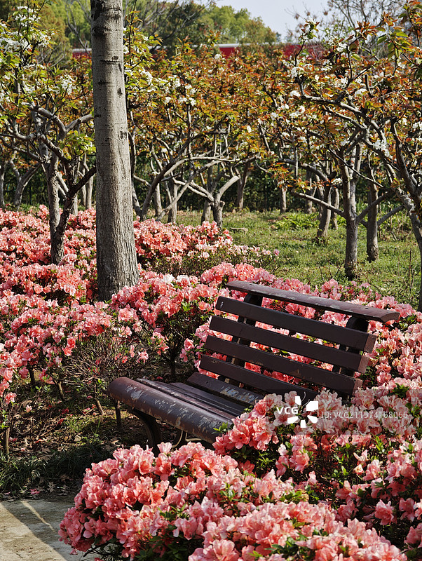 台州椒江区公园花椅图片素材