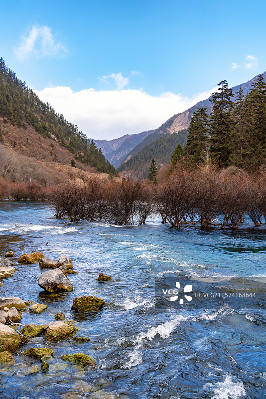 四川阿坝九寨沟树正瀑布晴天雪景风光竖拍图片素材