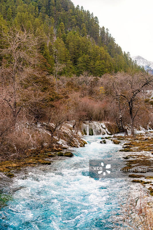 四川阿坝九寨沟树正瀑布晴天雪景风光竖拍图片素材
