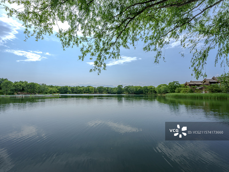 蓝天白云下的绿色景观奥林匹克公园北园图片素材