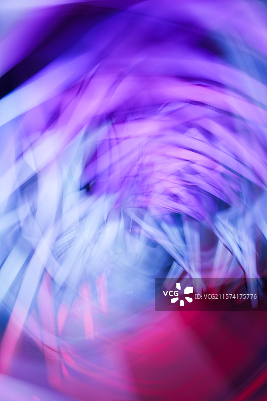 水乡金湖柳树湾湿地公园灯光装置及慢门旋焦摄影素材图片素材