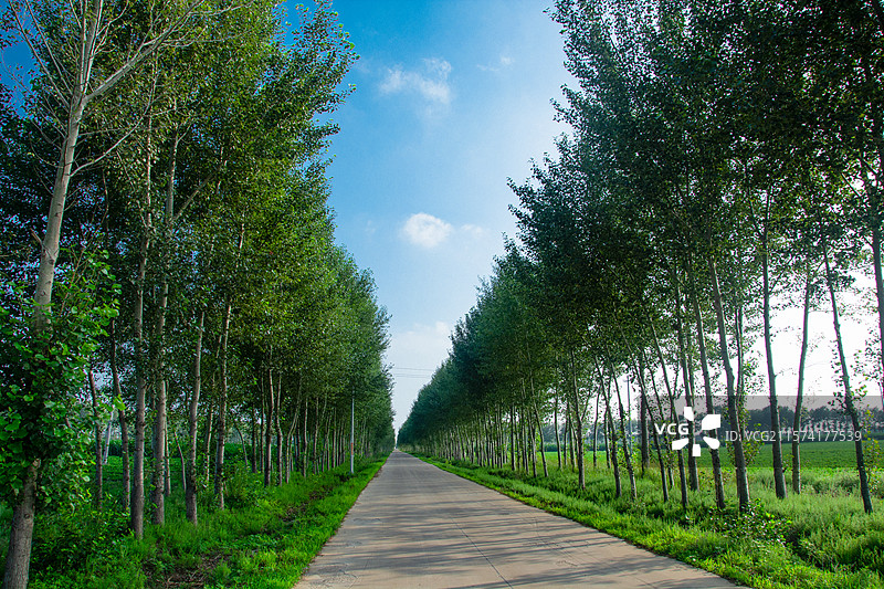 乡村公路建设图片素材