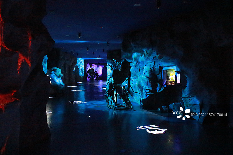 上海海昌海洋公园海缸热带鱼图片素材