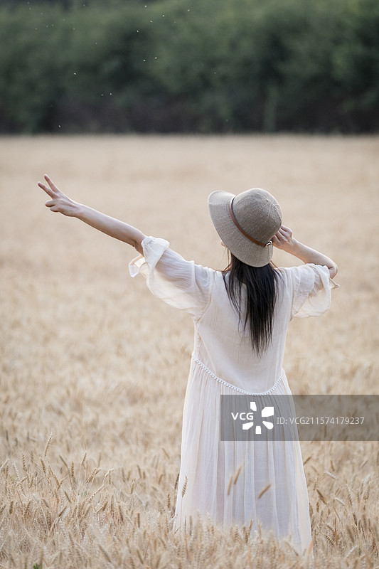 麦田里戴帽子的白裙子女孩背影图片素材