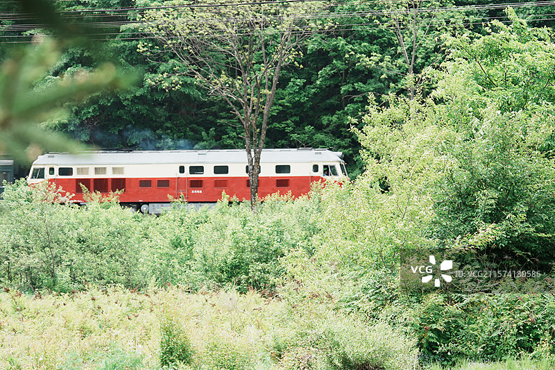 东北林区里的内燃机车图片素材