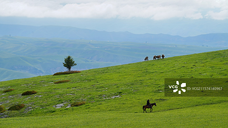 喀拉峻草原图片素材